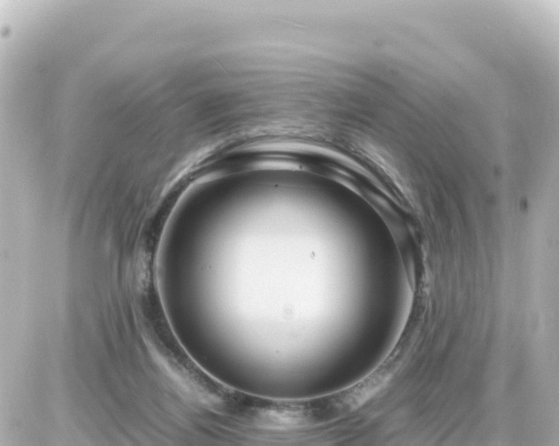 X0000087010164200704231943