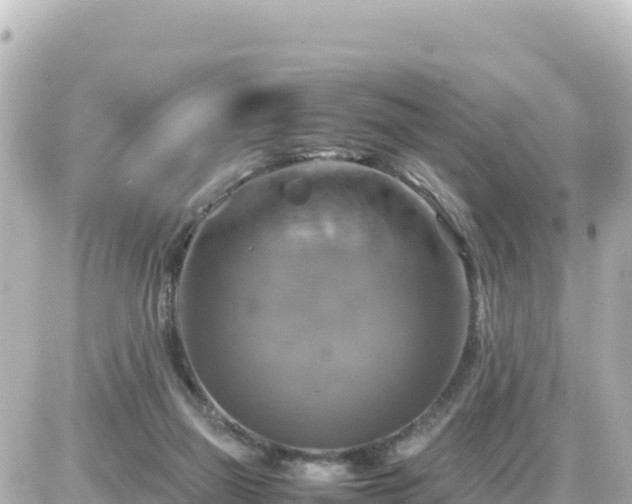 X0000087010165200704231943