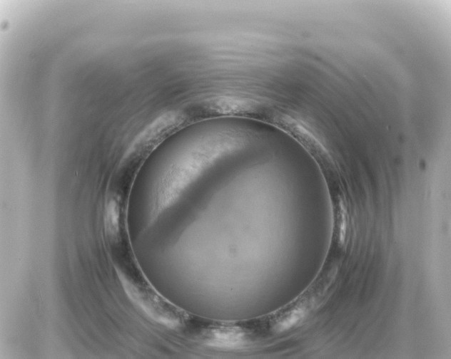 X0000087010214200704231943