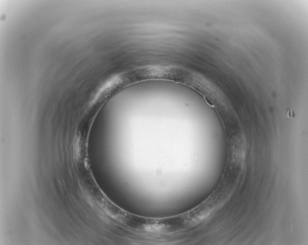 X0000087010216200704231943