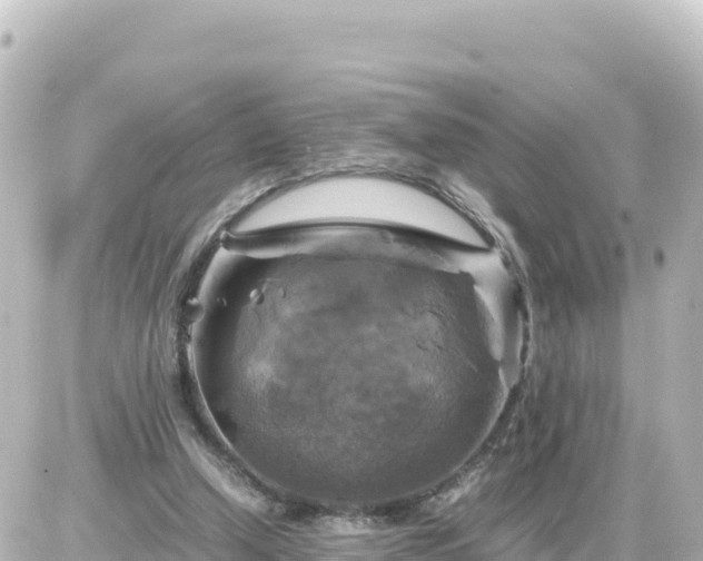 X0000087010250200704231942
