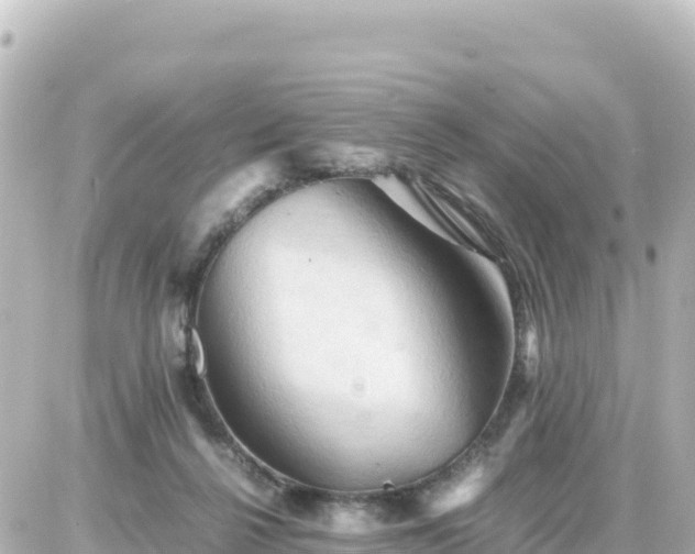 X0000087010264200704231942