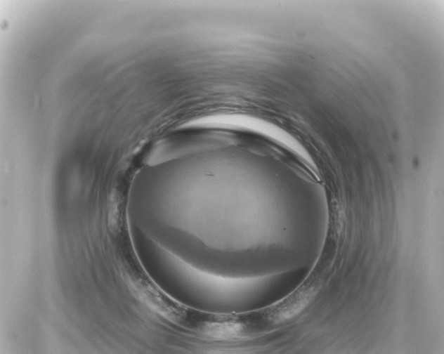 X0000087010266200704231942