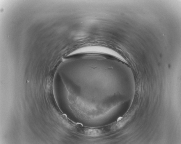 X0000087010277200704231942