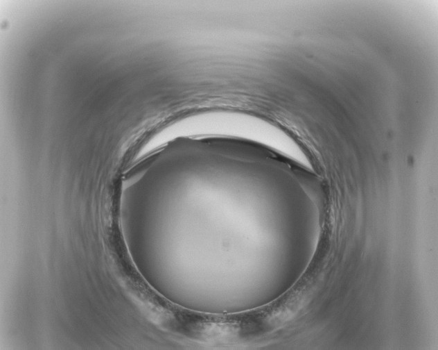 X0000087010303200704231941