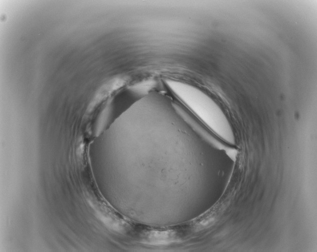 X0000087010314200704231941