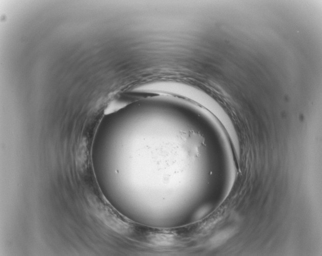 X0000087010318200704231941