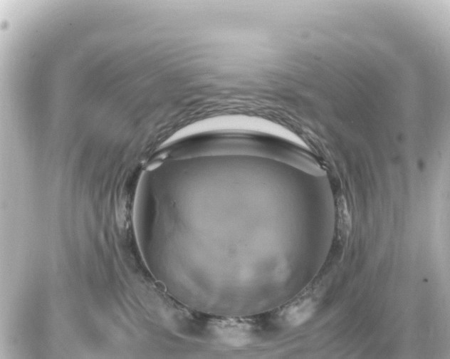 X0000087010331200704231941