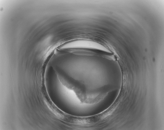X0000087010349200704231940