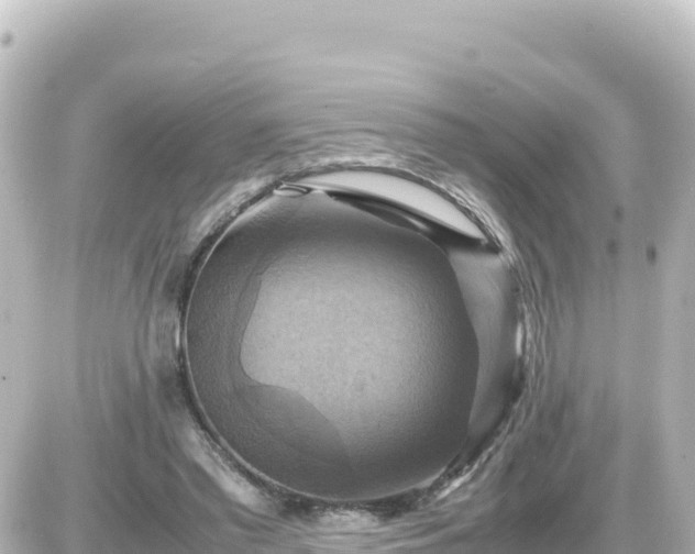 X0000087010397200704231940