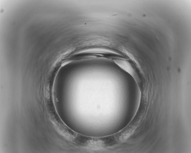 X0000087010403200704231940