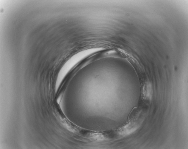 X0000087010424200704231939