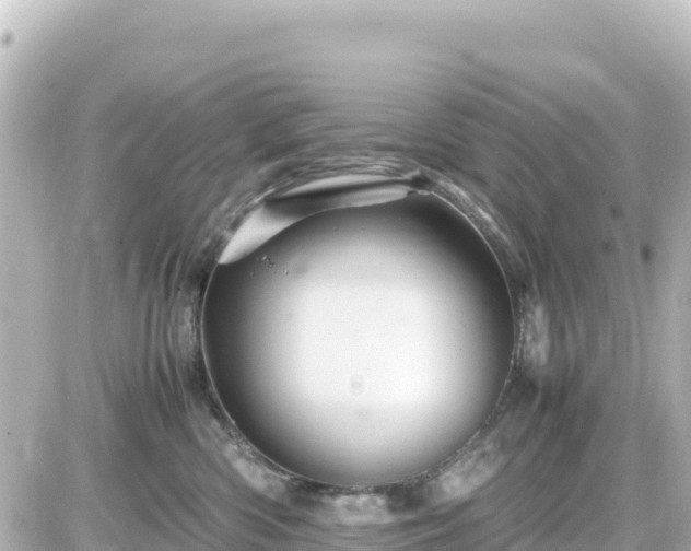 X0000087010426200704231939