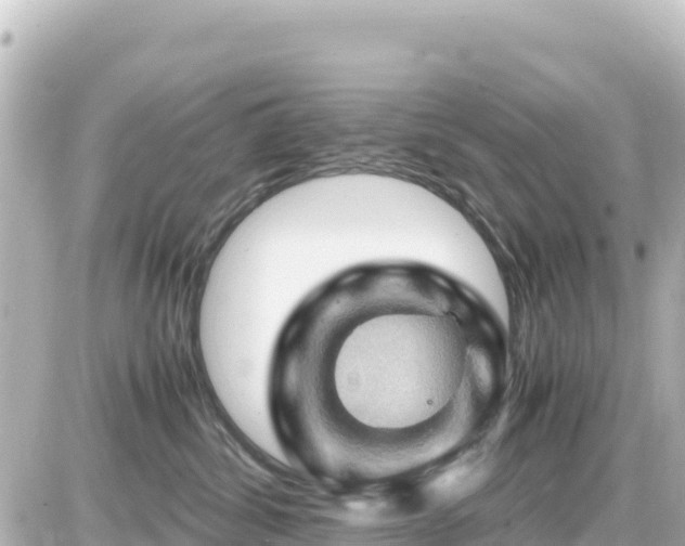 X0000087010428200704231939