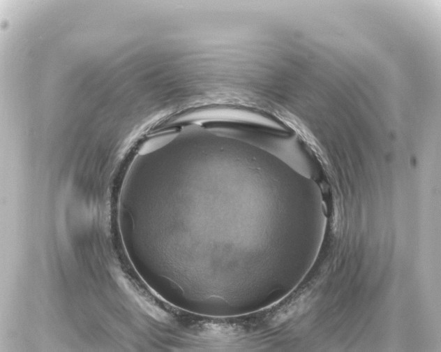 X0000087010442200704231939