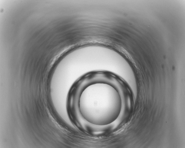 X0000087010444200704231939
