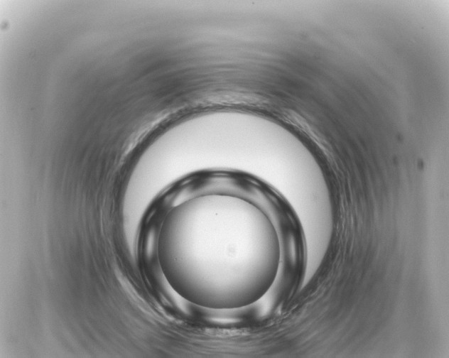 X0000087010448200704231939
