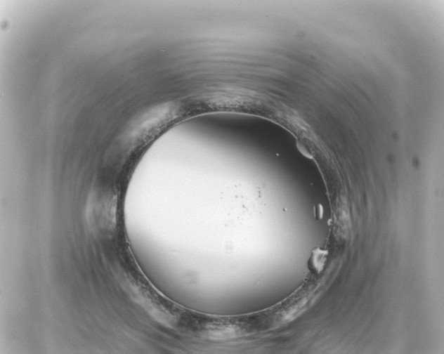 X0000087010454200704231939