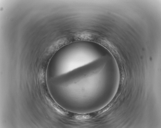 X0000087010465200704231939