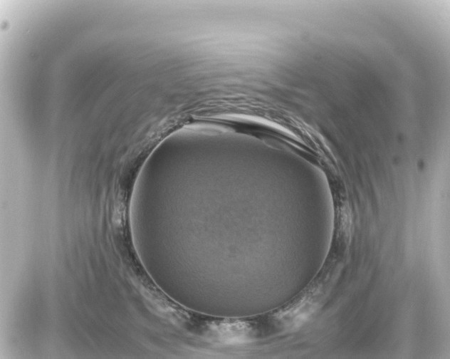 X0000087010517200704231938