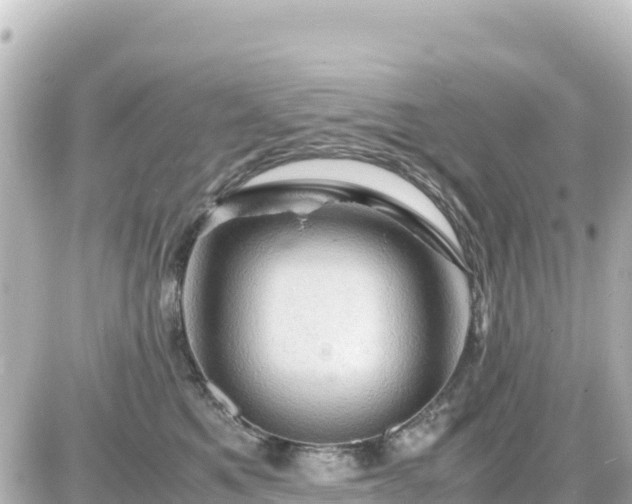 X0000087010521200704231938