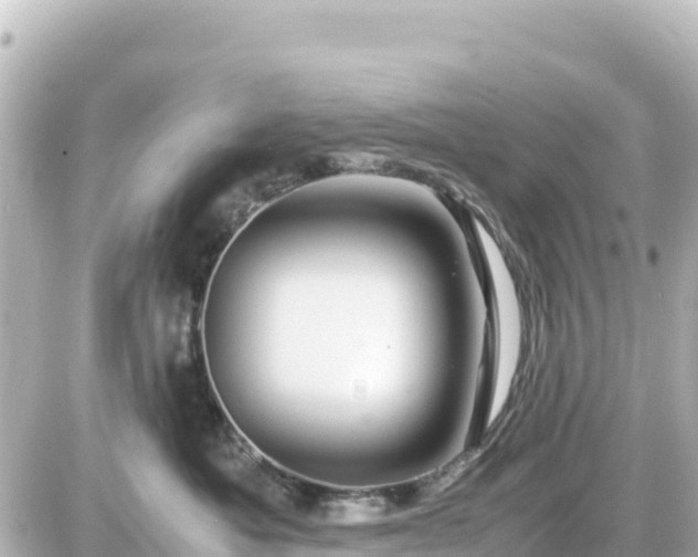 X0000087010525200704231938