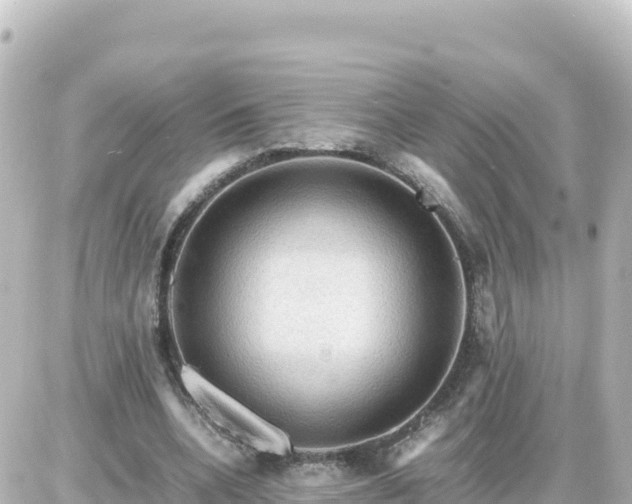 X0000087010536200704231937