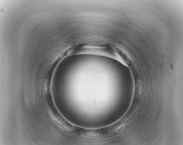X0000087010546200704231937