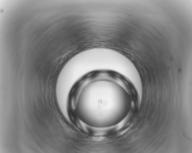 X0000087010570200704231938