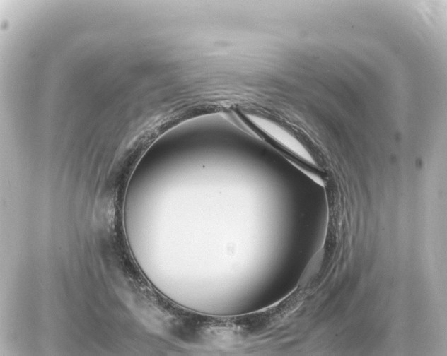 X0000087010595200704231937