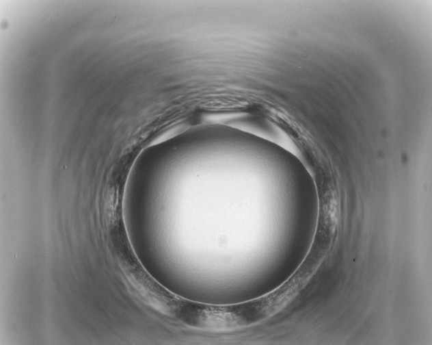 X0000087010605200704231936
