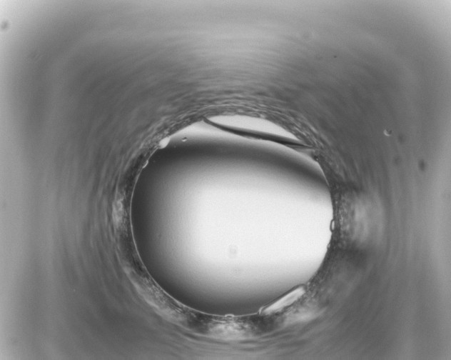 X0000087010611200704231936