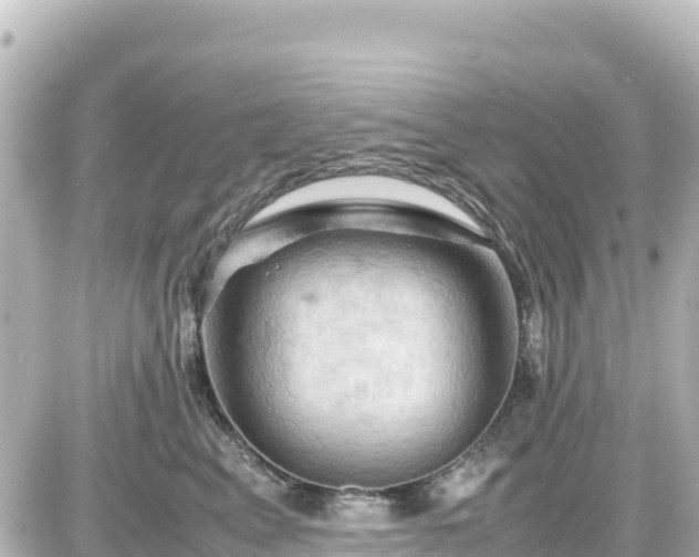 X0000087010617200704231936