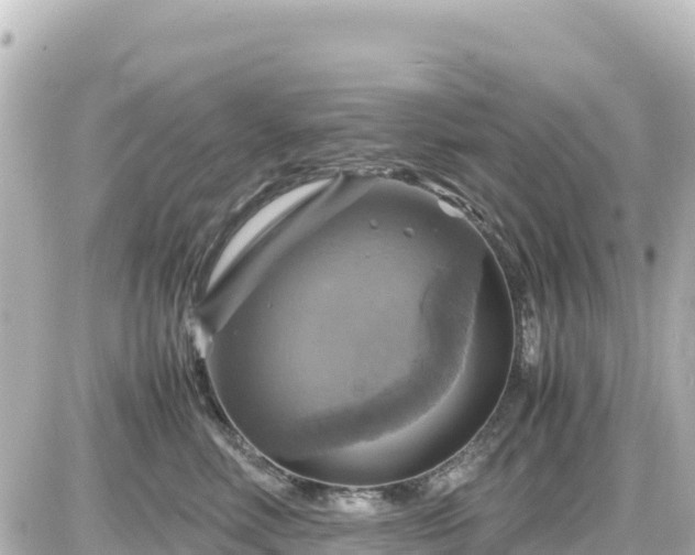 X0000087010618200704231936