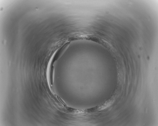 X0000087010624200704231936