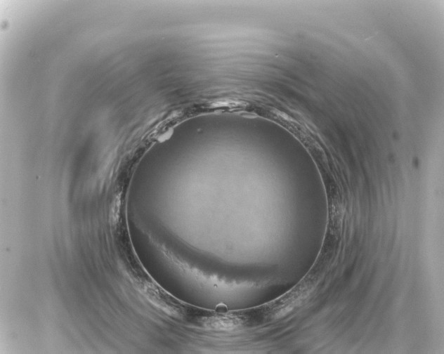 X0000087010652200704231936
