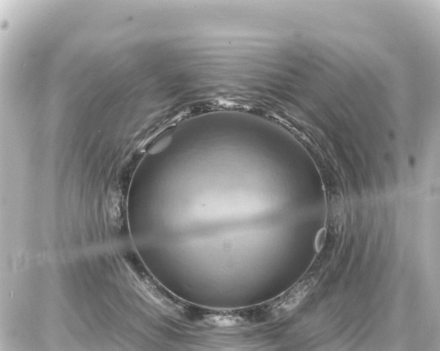 X0000087010654200704231936