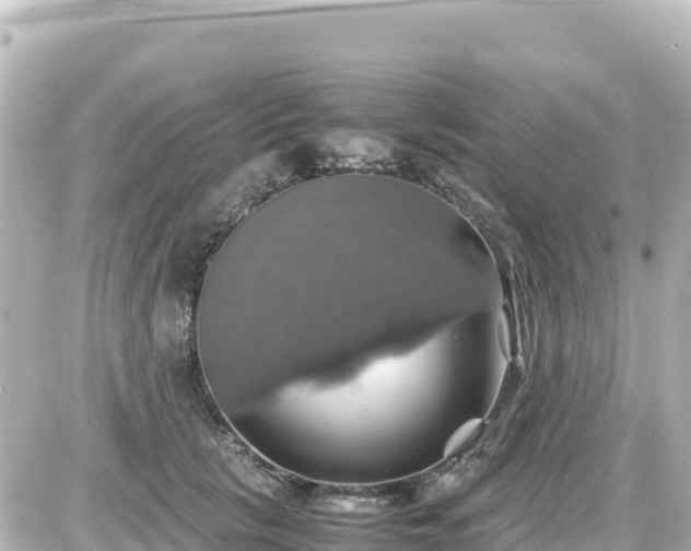 X0000087010657200704231936