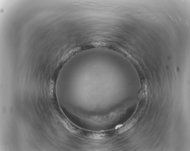 X0000087010664200704231936