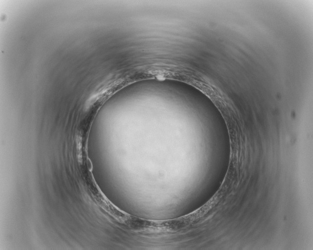 X0000087010696200704231935