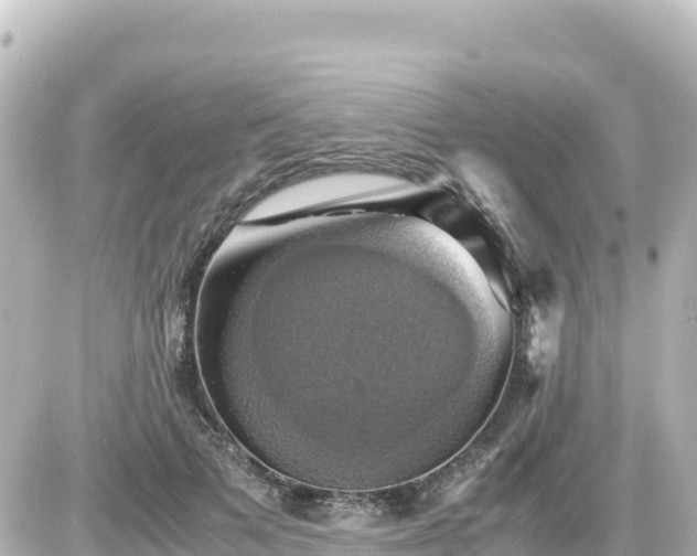 X0000087010697200704231935