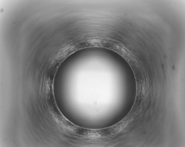 X0000087010702200704231935