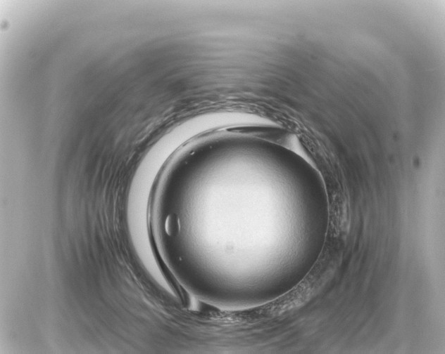 X0000087010704200704231935