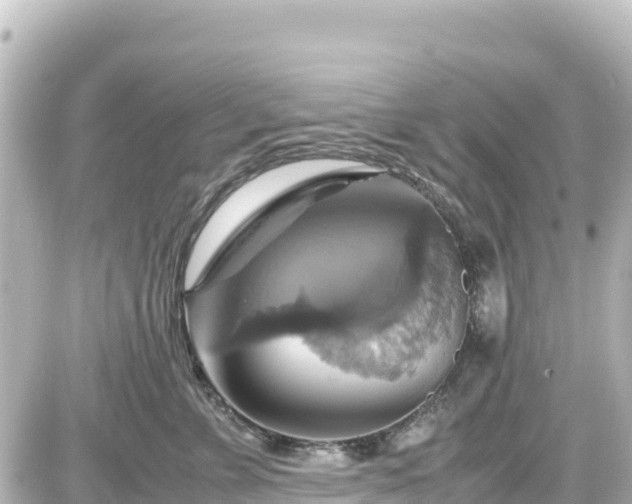 X0000087010715200704231935