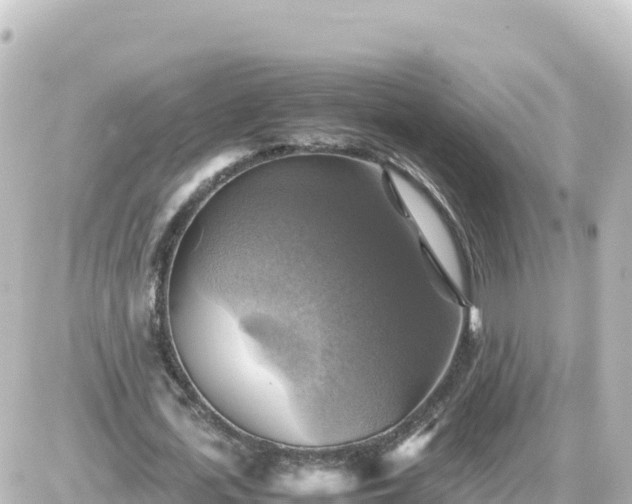 X0000087010723200704231934