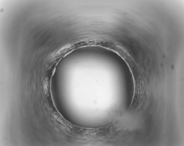 X0000087010773200704231934