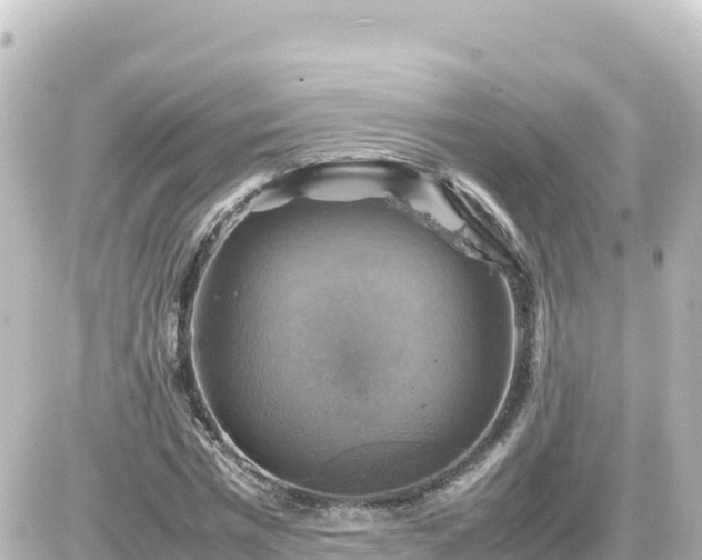 X0000087010777200704231934