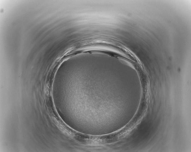 X0000087010785200704231933