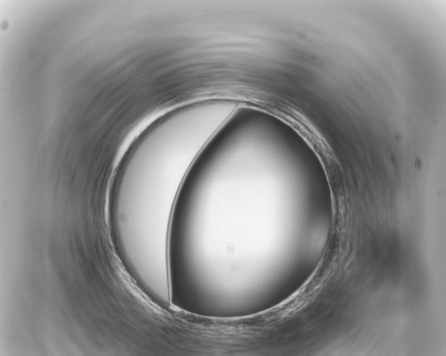 X0000087010788200704231933
