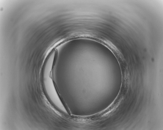 X0000087010790200704231933